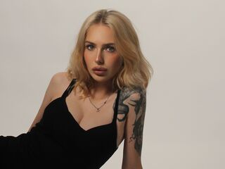 real live webcam LowerFrancis