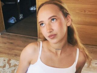 liveshow VeniceMidden